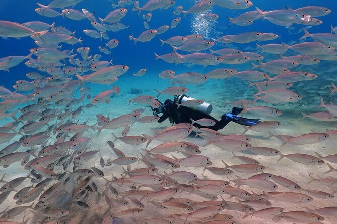 2 Fun Dives in Racha Yai or Noi for Certified Divers - Why Racha Yai makes a good Phuket scuba day