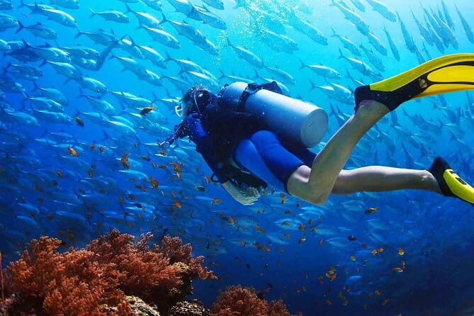 2 Fun Dives in Racha Yai or Noi for Certified Divers - Medical rules you should take seriously