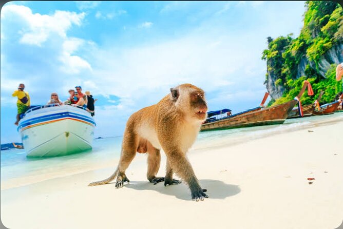 2x Snorkelling Phi Phi, Maiton, Maya Bay, khai islands tour - Maya Bay, Loh Samah Bay, and the classic Phi Phi view