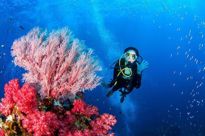 3 Fun dives in Phi Phi islands for Certified Divers - Equipment, insurance, and the missing computer