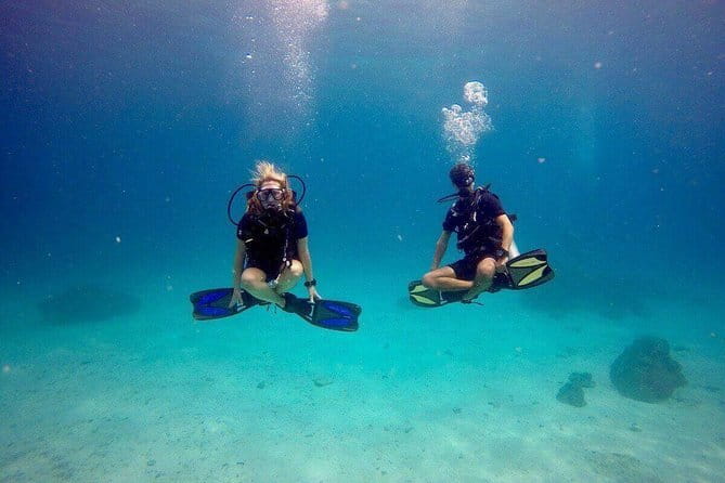 3 Fun dives in Phi Phi islands for Certified Divers - Getting to Chalong Pier at 7:00 am