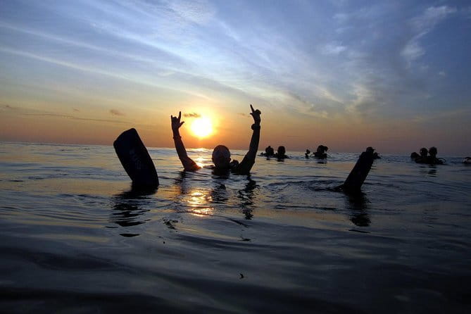3 Fun dives in Phi Phi islands for Certified Divers - Is $158.56 good value?