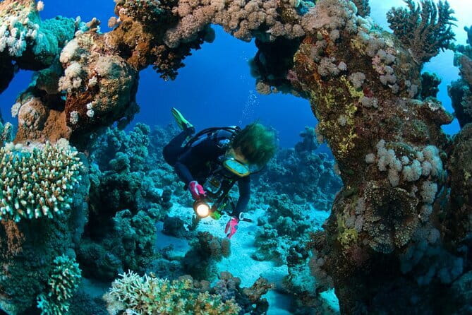 3 Fun Dives in Racha Yai and Racha Noi for Certified Divers - Racha Yai and Racha Noi: Why the Location Matters