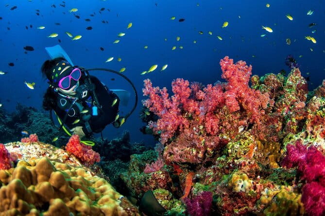 3 Fun Dives King Cruiser Wreck and Koh DokMai for Certified diver - Why the King Cruiser wreck makes this day special