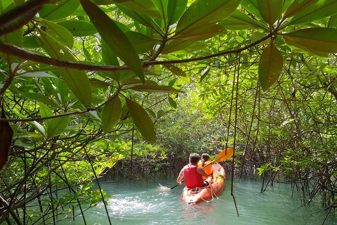 4-Waters Eco-Adventure Trip from Phuket Including Lunch - A late Thai lunch in Phang-Nga Province