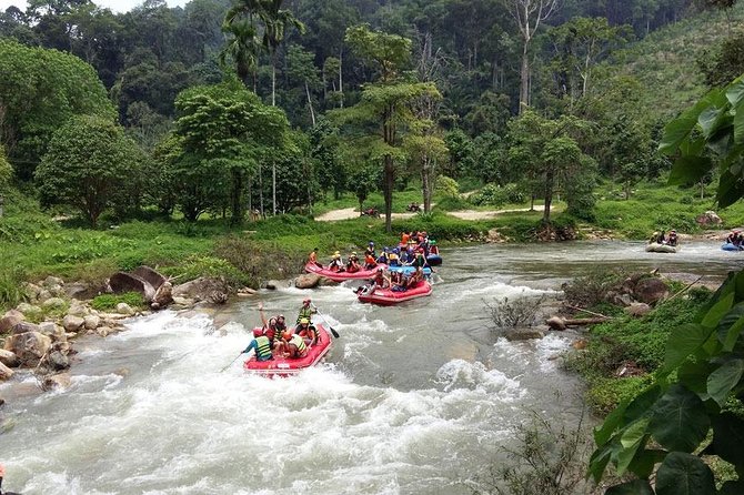 5 km White Water Rafting + ATV 1 Hour Tour From Phuket - The one-hour ATV ride through the jungle