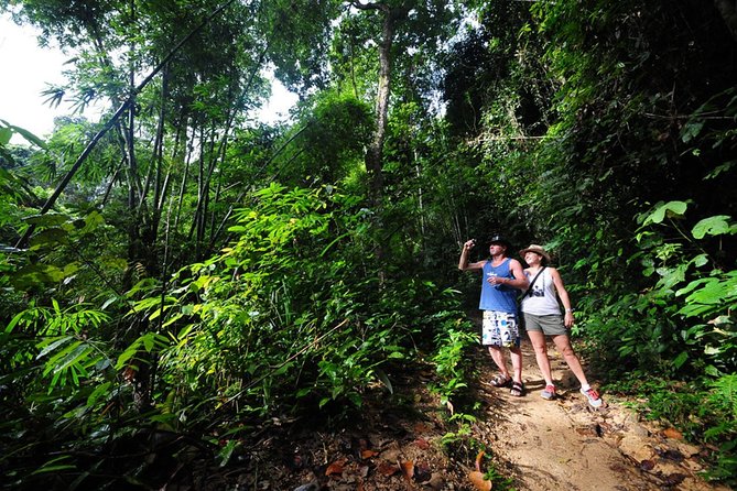 5km Rafting, ATV & Flying Fox Adventure Trip - Suwankuha Temple adds a cultural stop