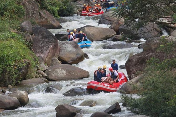 5km White Water Rafting and Jungle Tour From Phuket - What the 7 to 8-hour day really involves
