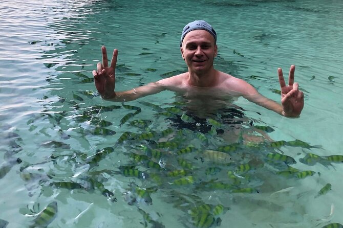 All-in Phi Phi, Maiton, MayaBay, Khai, Bamboo islands Tour - Pileh Lagoon and the best postcard water