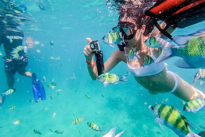 All-in Phi Phi, Maiton, MayaBay, Khai, Bamboo islands Tour - Maya Bay: famous scenery with firm rules
