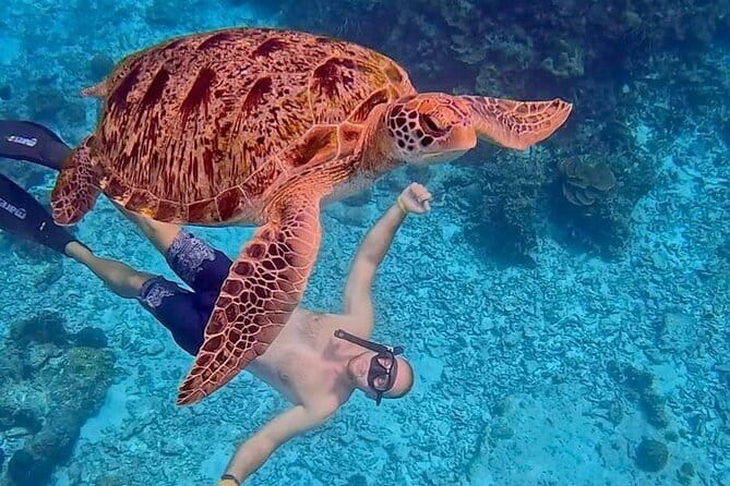 All Inclusive Full-Day Tour Phi Phi Islands from Phuket - Loh Da Lum Bay combines swimming and lunch