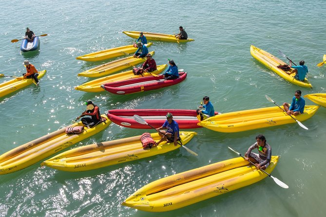 Amazing Phang Nga Bay Day Trip with Kayaking & Snorkelling - Why the Hong and Panak caves make this trip worthwhile