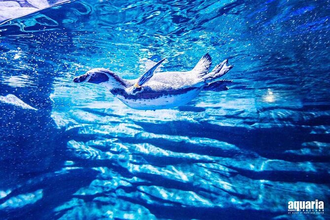 Aquarium Phuket and AR Trick Eye Museum Combo Tickets - Choosing the AR Trick Eye Museum