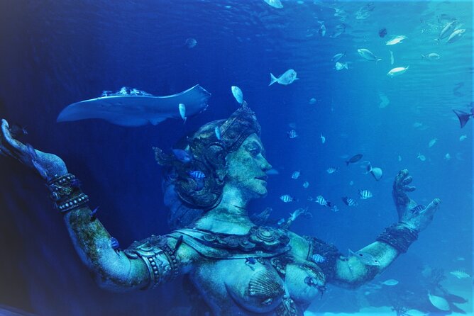 Aquarium Phuket and AR Trick Eye Museum Combo Tickets - Is $72 good value?