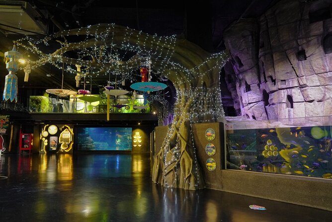 Aquarium Phuket and AR Trick Eye Museum Combo Tickets - Ocean and river life in one visit