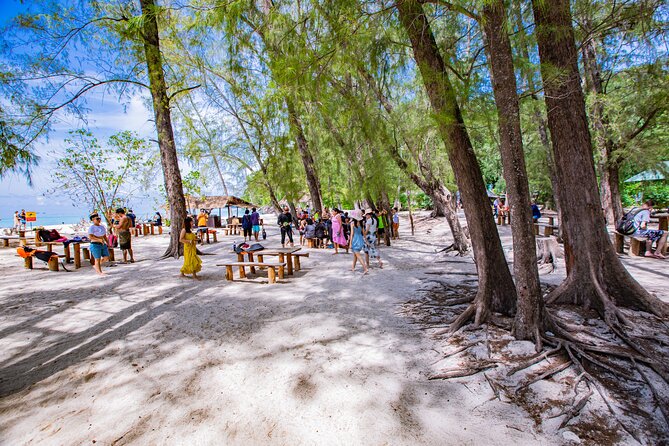 Bamboo Island and Phi Phi Island Full Day Tour From Phuket - Who Will Enjoy This Tour Most