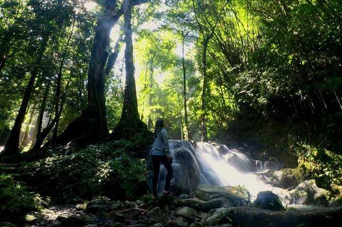 Bamboo Rafting, ATV Riding and Jungle Tour From Phuket - Thirty minutes on the jungle ATV course