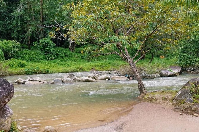 Bamboo Rafting, ATV Riding and Zip Line Tour From Phuket - Thai lunch and a welcome pause