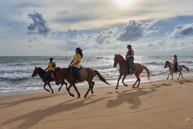 Beach Horse Riding Activity in Phuket - Arriving at Kamala Horse Riding Club at 9:00 am