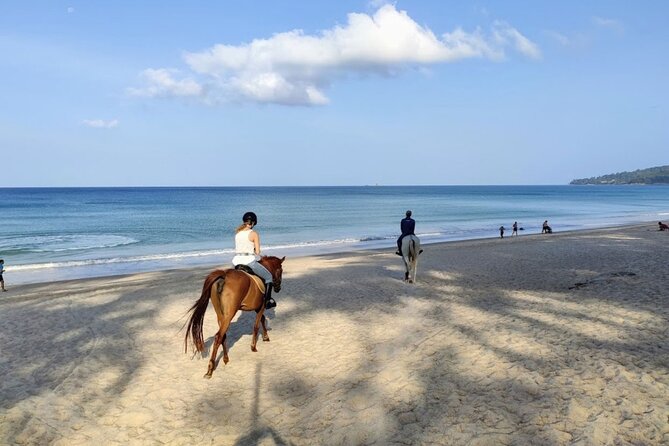Beach Horse Riding Activity in Phuket - Returning to the stable, washing, and feeding the horses