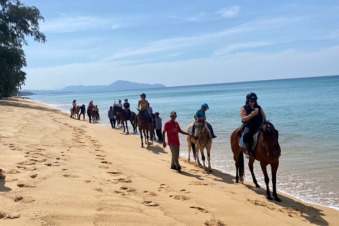 Beach Horse Riding Activity in Phuket - Who should book this Phuket horse ride?
