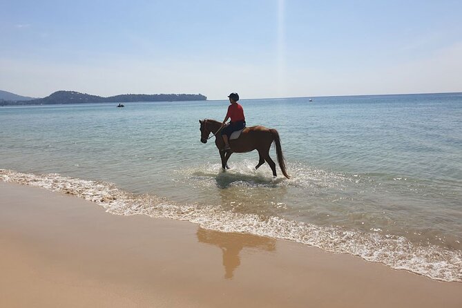 Beach Horse Riding Activity in Phuket - Safety, weather, and cancellation details