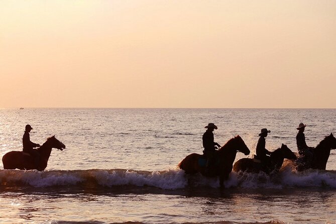 Beach Horse Riding At Sunset In Phuket - How the horses are handled