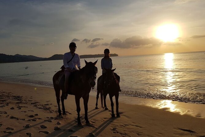 Beach Horse Riding At Sunset In Phuket - Getting acquainted with the horses and riding rules