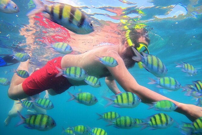 Best of Phi Phi Islands Snorkeling Tour from Phuket - Pileh Bay is the scenic swimming highlight