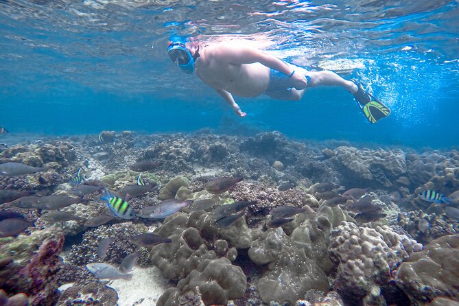 Best of Phi Phi Islands Snorkeling Tour from Phuket - Bamboo Island gives you real beach time