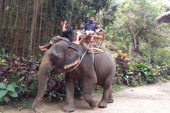 Customized Phuket Tours with Private Driver - Activities, food, shopping, and rest breaks