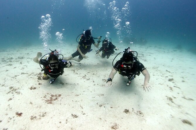 Discover Scuba Diving 3 Dives Racha Islands - Your safety briefing and equipment setup