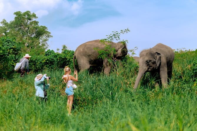 Elephant Nature Experience with Lunch at Bukit Elephant Park - Choosing the morning or afternoon departure