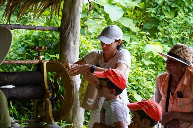 Elephant Nature Experience with Lunch at Bukit Elephant Park - Rubber tapping, coconut milk, and Thai cooking