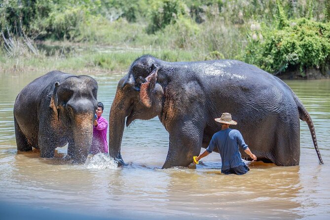Elephant Sanctuary Small Group Tour in Phuket - Lunch, refreshments, and the final hour