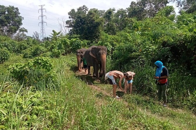Elephant Sanctuary Small Group Tour in Phuket - Who will enjoy this four-hour outing