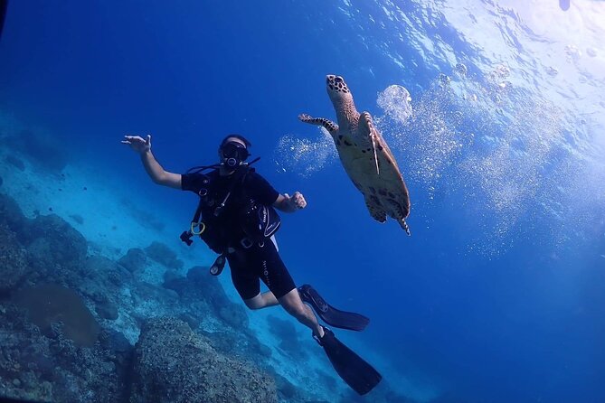 Explore Scuba Diving at Racha Yai Island from Phuket - Key points at a glance