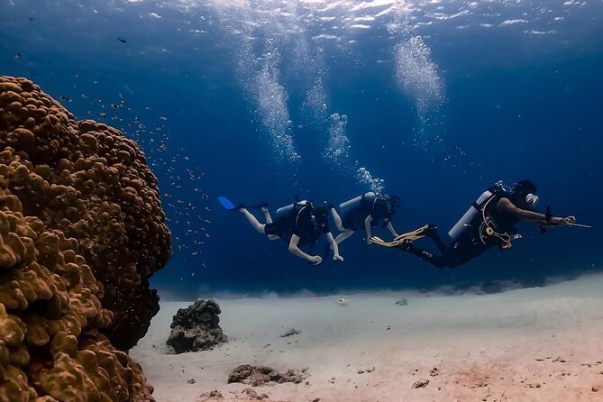 Explore Scuba Diving at Racha Yai Island from Phuket - Starting at 8:00 a.m. in Phuket