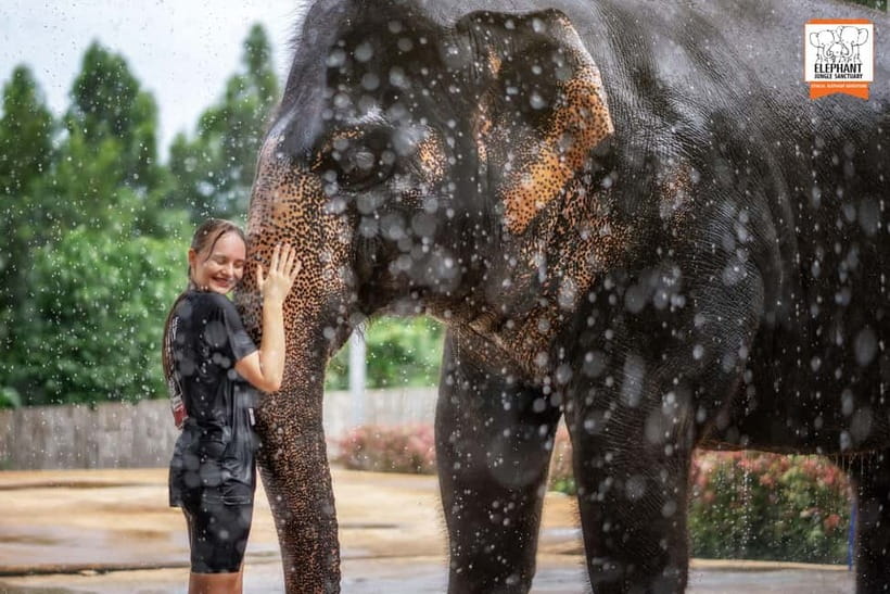 From Phuket: Elephant Jungle Sanctuary Feed and Shower Trip - Why the feeding session feels more meaningful