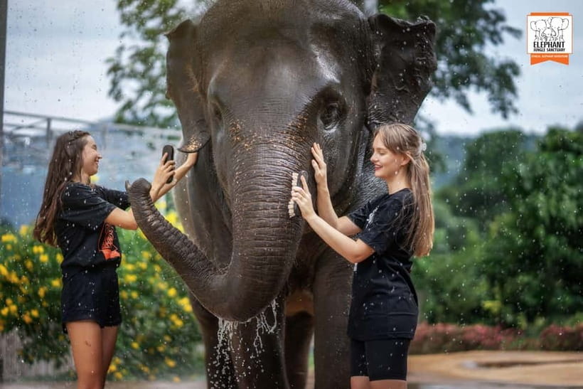 From Phuket: Elephant Jungle Sanctuary Feed and Shower Trip - Who will enjoy this Phuket experience?