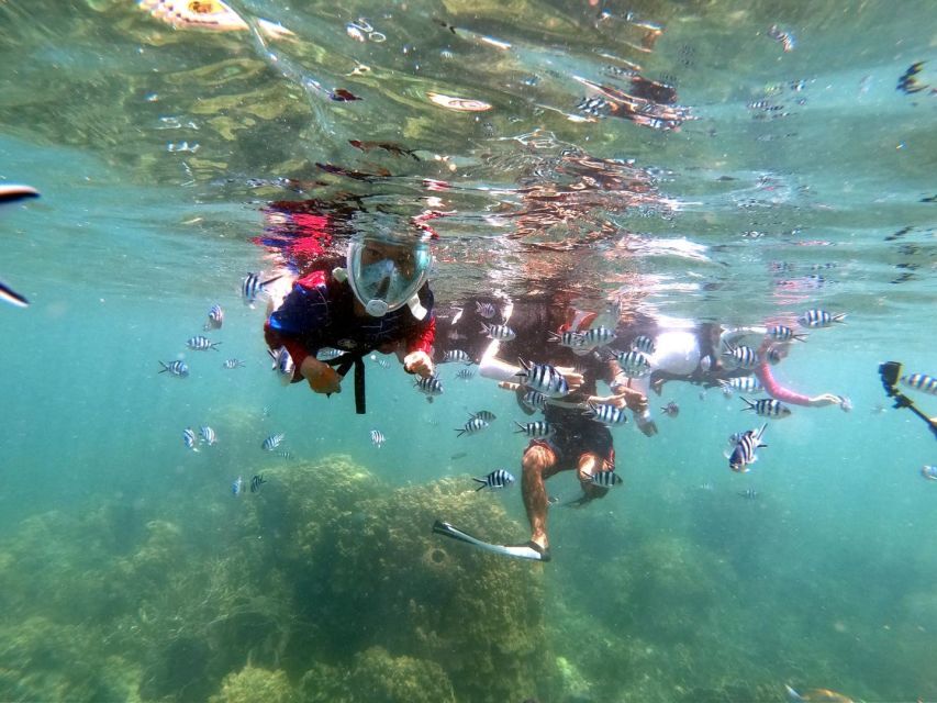 From Phuket: Phi Phi, Maya Bay, & Khai Islands Premium Trip - Monkey Beach without stepping ashore