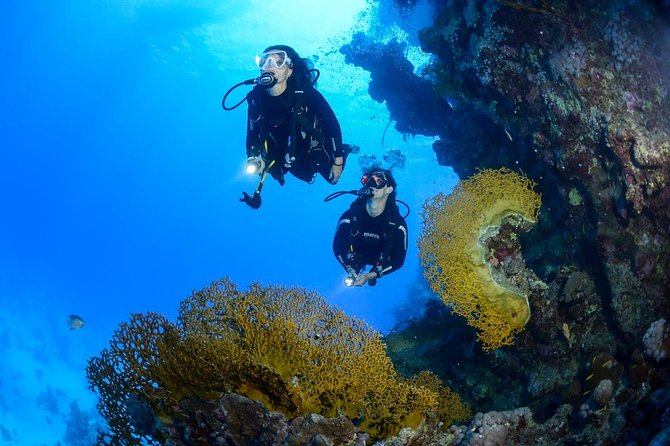Full-Day Beginner Scuba Course with Private Tuition, Racha Yai - Starting early at Chalong Pier