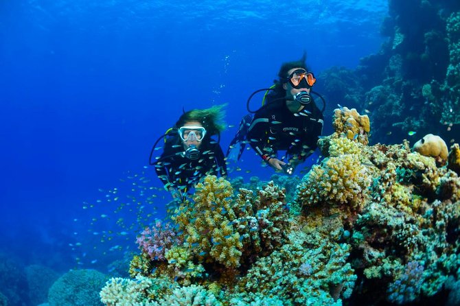 Full-Day Beginner Scuba Course with Private Tuition, Racha Yai - Learning the basics before going below