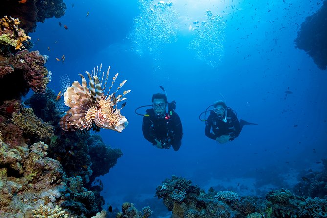 Full-Day Beginner Scuba Course with Private Tuition, Racha Yai - The guides make the biggest difference