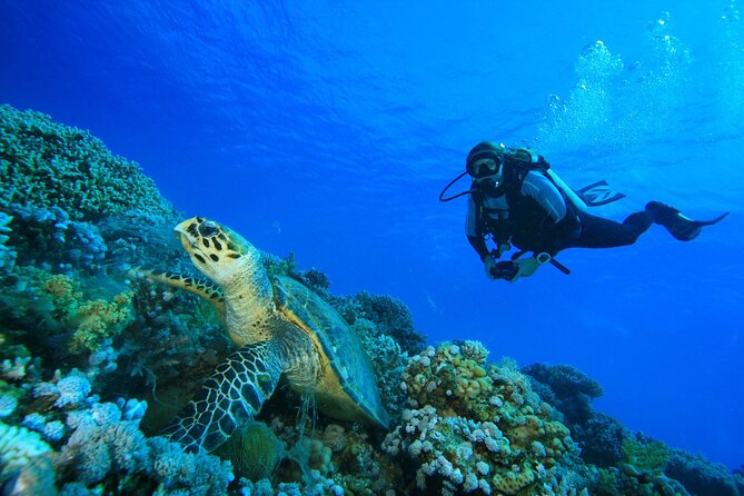 Full-Day Beginner Scuba Course with Private Tuition, Racha Yai - Meals, equipment, and underwater photographs