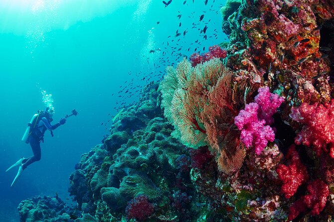 Full-Day Beginner Scuba Course with Private Tuition, Racha Yai - Who will get the most from this day