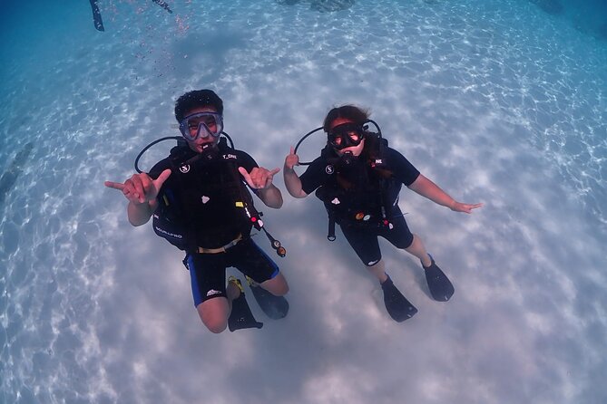 Full-Day Koh Phi Phi Scuba Diving Course from Phuket - Marine life, coral, and visibility