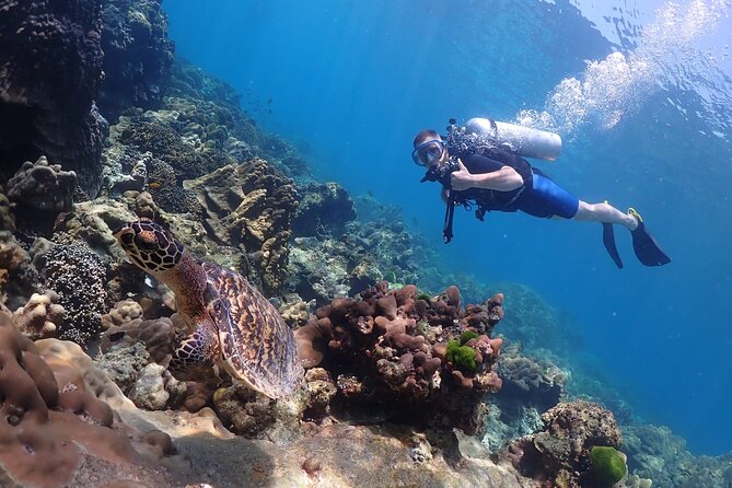 Full-Day Koh Phi Phi Scuba Diving Course from Phuket - How this compares with a beginner-friendly option