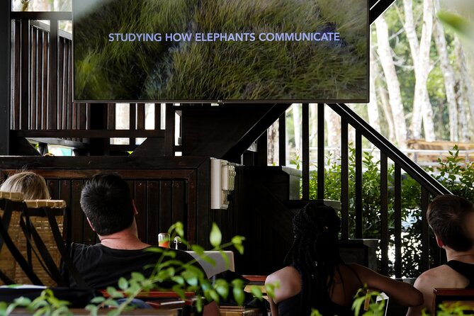 Full-Day Phuket Elephant Sanctuary Tour with Lunch and Dinner - Starting at 9:30 with the elephant welfare film