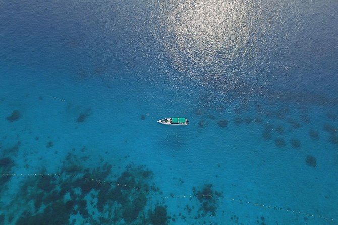 Full-Day Private Phi Phi Islands Speedboat Charter - Bamboo Island: an hour for sand and sea